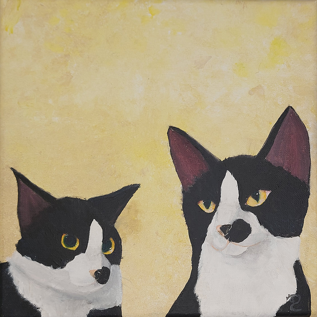 A black and white tuxedo kitten is portrayed with two of his many expressions. Bess was one of my many foster kittens, and the start off my wall off fame with pictures from all my former fosters