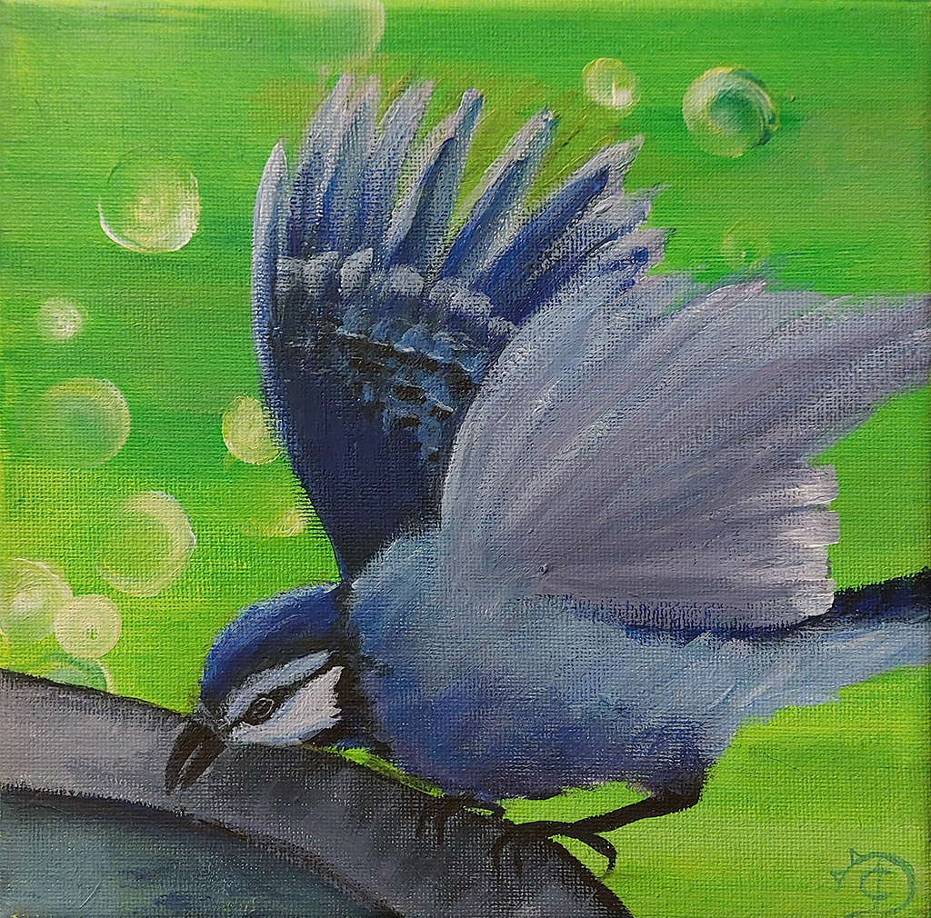 A green bokeh effect is the backdrop for this bird painting. A birdbath is the precarious landing spot for a Blue Jay. It’s wings seem to be flapping as it tries to balance on the edge.